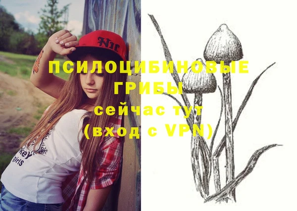 винт Алексин