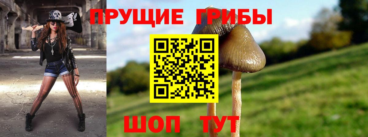 Галлюциногенные грибы MAGIC MUSHROOMS  Вход с VPN  Дюртюли 